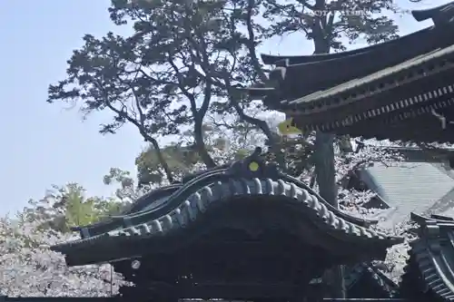 三嶋大社(静岡県)