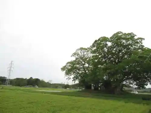 神明神社(千葉県)