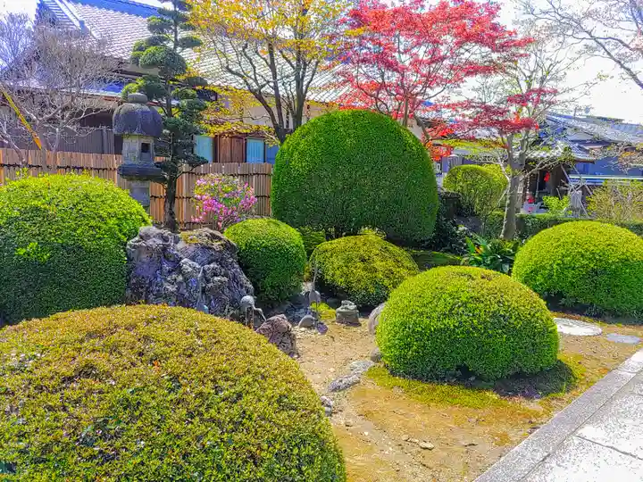 慈光院(曼陀羅寺塔頭)の庭園