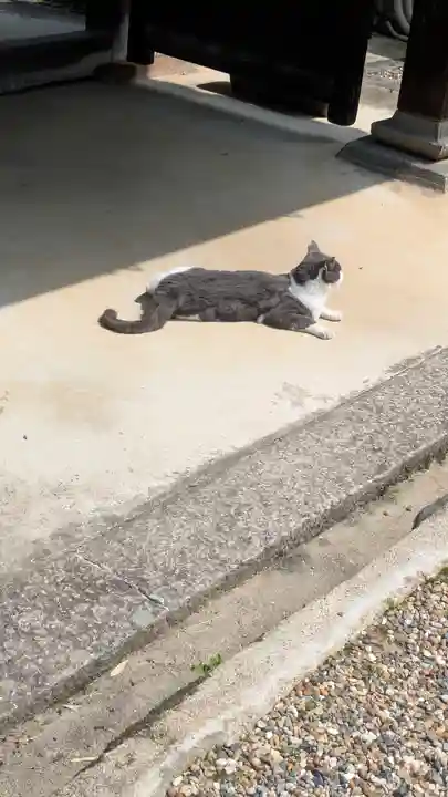 常谷寺(奈良県)