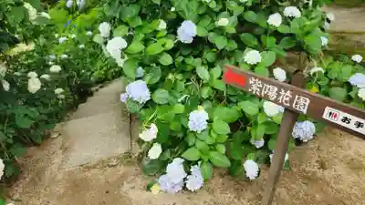 高林寺(福島県)