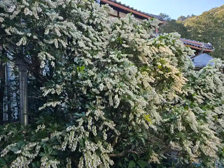 金熊寺(大阪府)