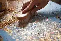 三津厳島神社(愛媛県)