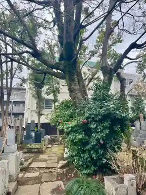 誓閑寺(東京都)