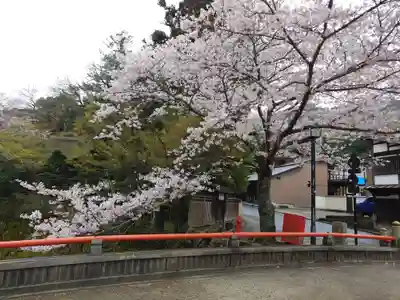 厳島神社(広島県)