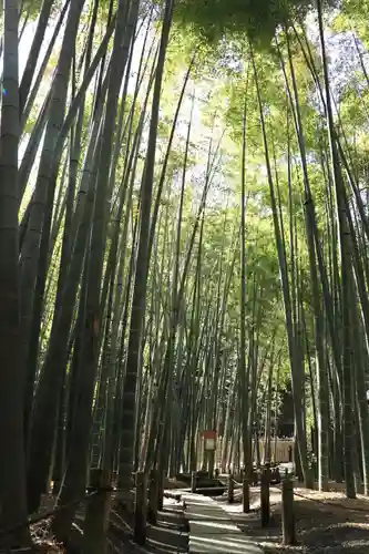 報国寺(神奈川県)