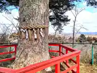 羽黒神社(宮城県)