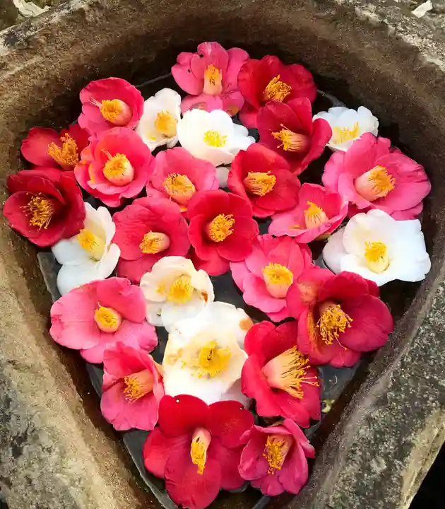 真言宗 善通寺派 薬王寺の手水舎