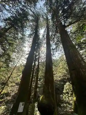 花園神社(茨城県)