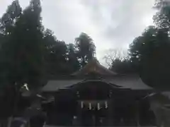 白山比咩神社の本殿