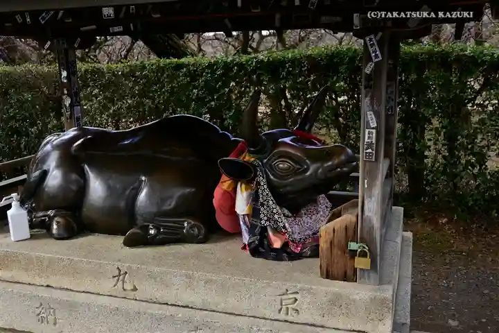 北野天満宮の狛犬
