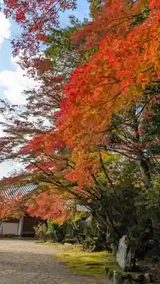 地藏院(京都府)