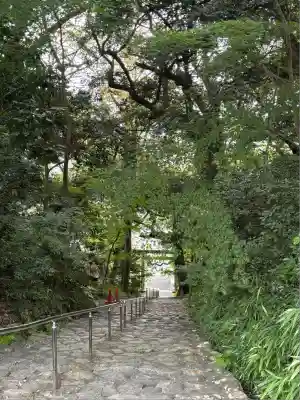 龍尾神社(静岡県)