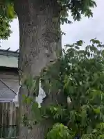 亀田龍神社(北海道)