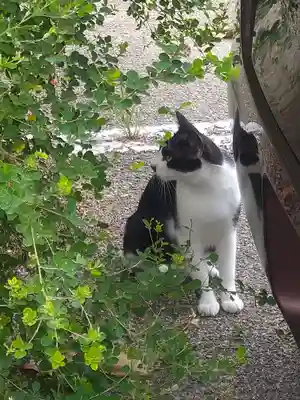 鴻八幡宮の周辺