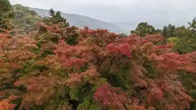 三鈷寺(京都府)