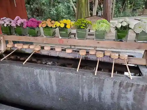 武蔵一宮氷川神社(埼玉県)