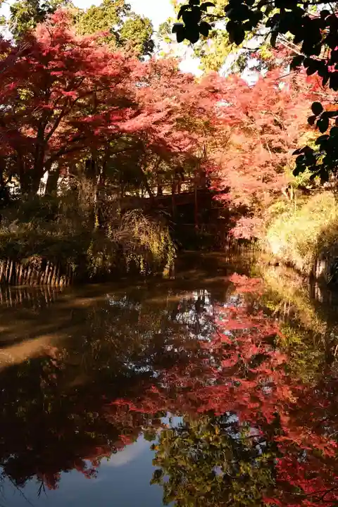 曼殊院門跡(京都府)