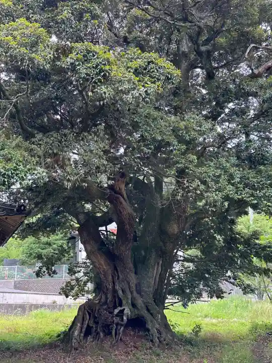 朝倉彦命神社(島根県)