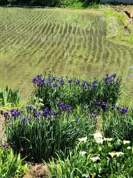 高司神社〜むすびの神の鎮まる社〜(福島県)
