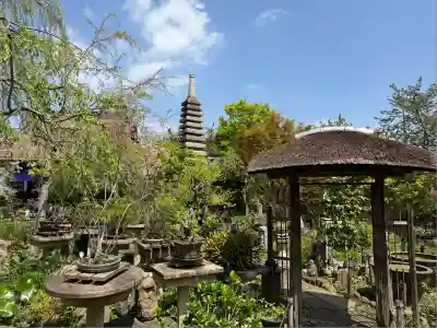 常泉寺(神奈川県)