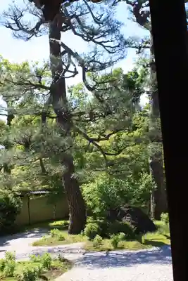 廬山寺（廬山天台講寺）(京都府)