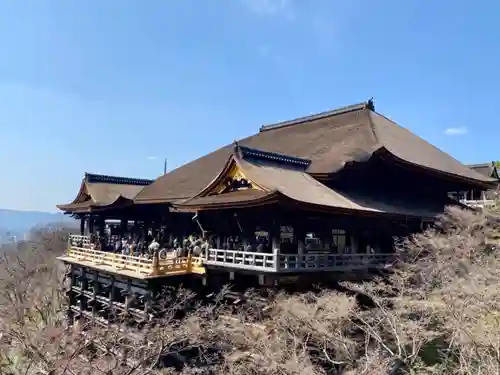 清水寺の本殿・本堂
