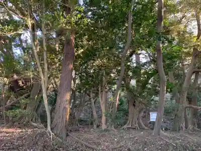 建市神社奥の院の自然