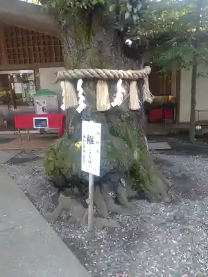 座間神社(神奈川県)