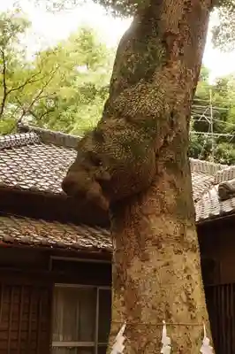氷川女體神社のその他建物