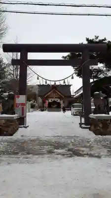 札幌村神社の鳥居