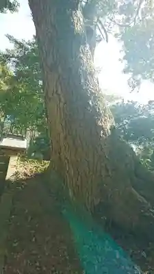 三峰神社のその他建物