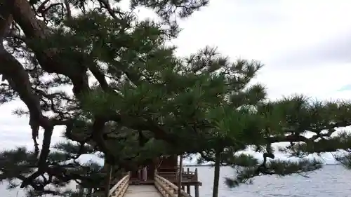 満月寺（浮御堂）のその他建物