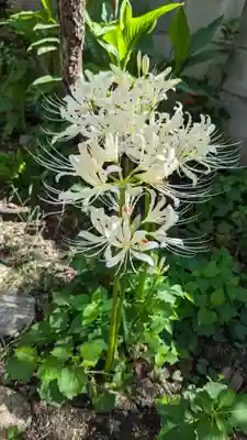 乾窓院(京都府)