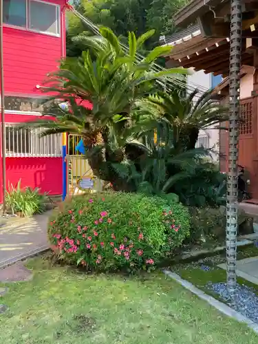 大応寺(神奈川県)