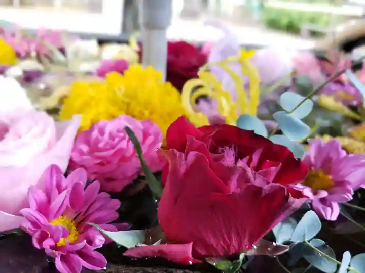 鳩森八幡神社の手水舎