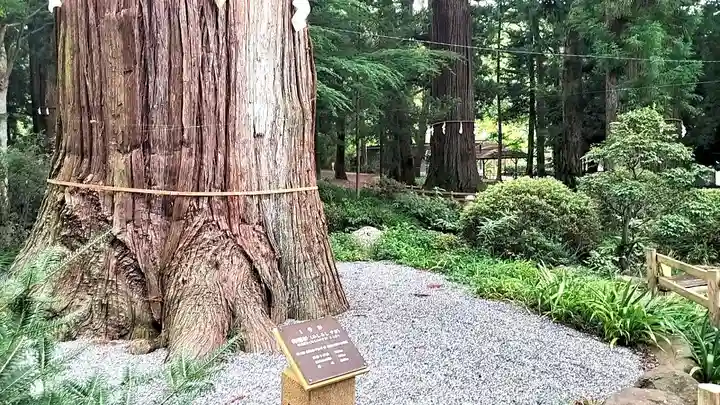 河口浅間神社(山梨県)