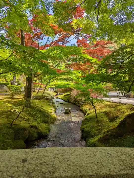禅林寺(永観堂)(京都府)