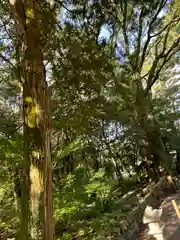 住吉神社(宮崎県)