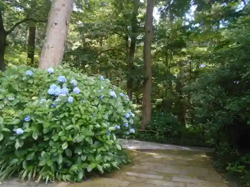 妙本寺(神奈川県)