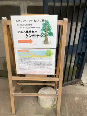 戸越八幡神社(東京都)