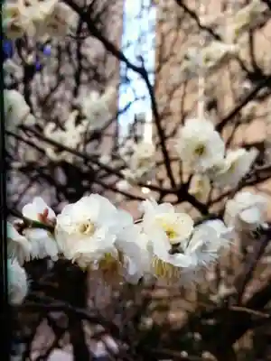 銀世界稲荷神社(東京都)