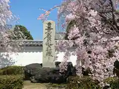 妙顯寺（妙顕寺）(京都府)