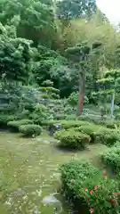 興勝寺(京都府)