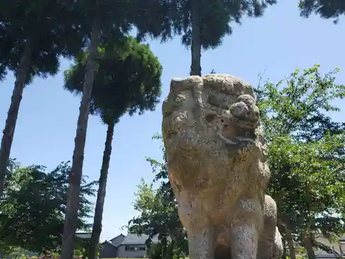 五位荘神社の狛犬