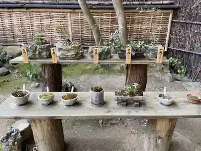 祇王寺(京都府)