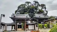 法光寺(埼玉県)