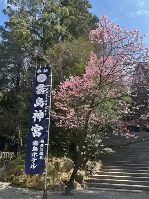 霧島神宮(鹿児島県)