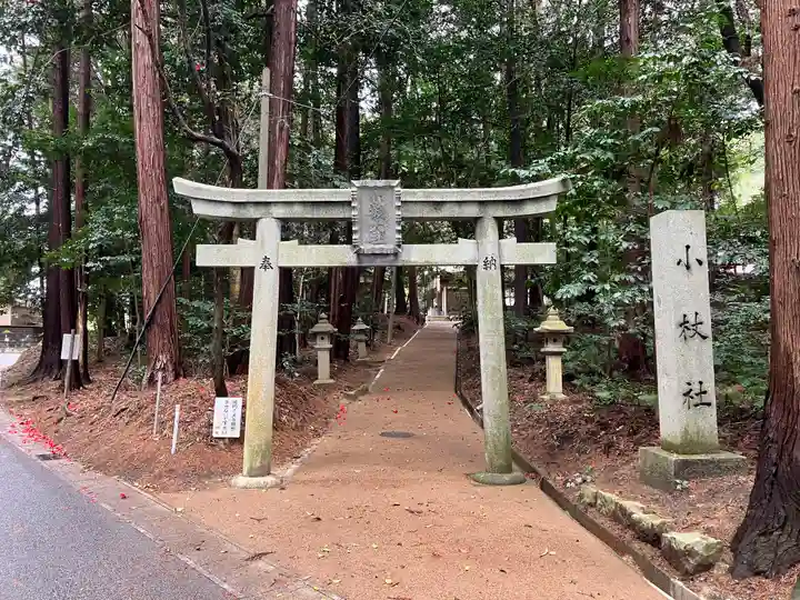 小槻大社(滋賀県)