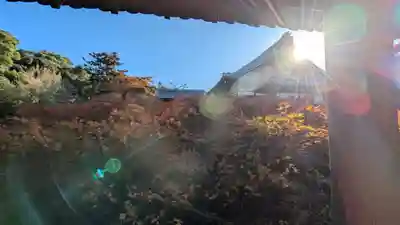 東福禅寺(東福寺)(京都府)